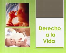 Image result for Imagenes De Derecho a La Vida