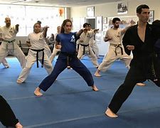 Image result for Martial Arts Basics