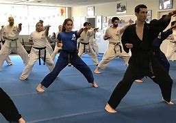 Image result for Diffent Martial Arts