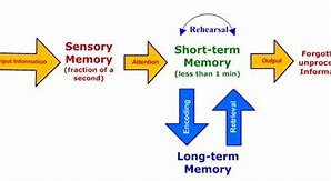 Image result for Memory Processes