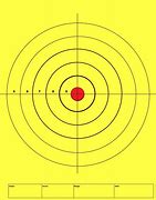 Image result for Targets for Shooting Guns