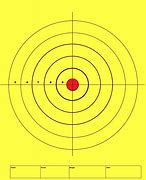 Image result for Fire Range Targets