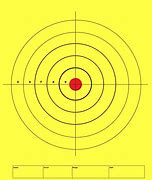 Image result for 4-H Shooting Targets