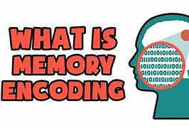 Image result for Encoding Memory