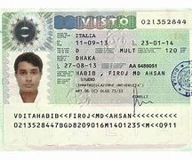 Image result for Working Visa Italy