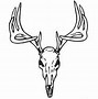 Image result for Male Deer Skull