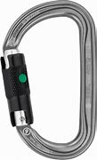 Image result for Petzl Climbing Carabiner