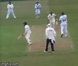 Image result for King of Cricket GIF