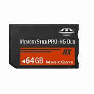 Image result for Memory Stick Pro Card