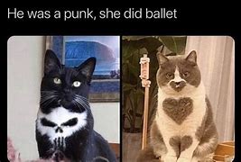 Image result for Punisher Cat Meme