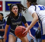 Image result for Dieruff Basketball