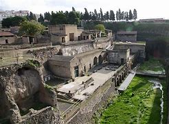 Image result for Herculaneum Bodies