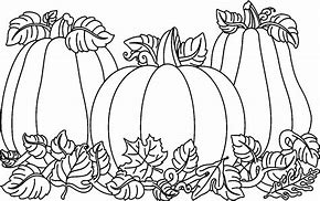 Image result for Pumpkin Clip Art Black and White