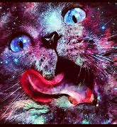 Image result for Trippy Cat Drawing