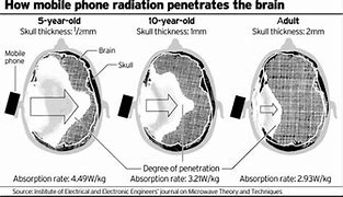 Image result for Purple Cell Phone