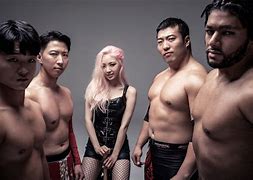 Image result for Korean Wrestlers