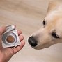 Image result for Anti-Anxiety for Dogs