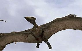 Image result for Pterodactyl Dinosaur