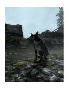 Image result for Fallout 3 Companions