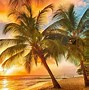 Image result for Beach Scene with Sun