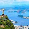 Image result for co_to_za_ziemiojad_brazylijski