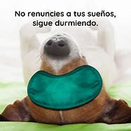 Image result for Frases Graciosas Para Fotos