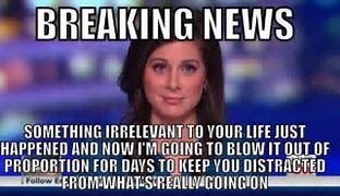 Image result for Funny Breaking News Memes Bunny