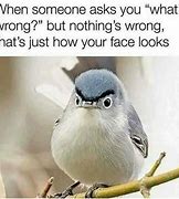 Image result for This Is My Face Meme