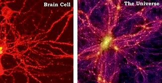 Image result for Brain Universe