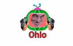 Image result for Ohio Melon Meme