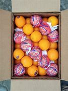 Image result for Valencia Orange