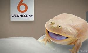 Image result for Wednesday Frog