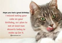 Image result for Belated Birthday Cat