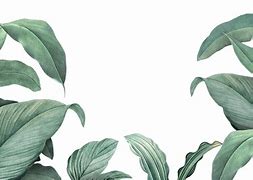 Image result for Tropical Aesthetic Background