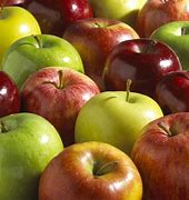 Image result for Apple Fruit