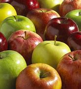 Image result for Apple Fruits 8