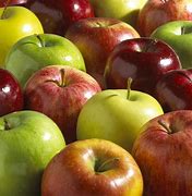 Image result for apple fruit