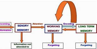 Image result for Brgs Memory Cycle