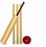 Image result for Cricket Player Clip Art