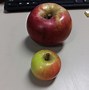 Image result for Small Yellow Apple's