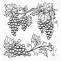 Image result for Grape Vine Black and White