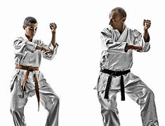 Image result for Martial Art Karate Fighter