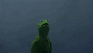 Image result for Kermit Rain Meme