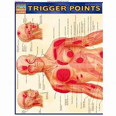 Trigger Points Study Chart 5 99