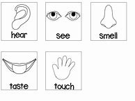 Image result for Five Senses Preschool Printable