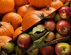 Image result for Pumpkin and Apple Picking