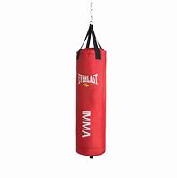 Image result for Boxing Speed Bag