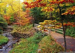 Image result for New England Autumn Desktop Wallpaper