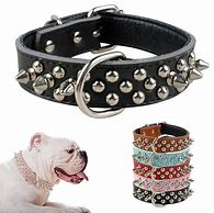 Image result for Spiked Dog Collar