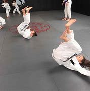 Image result for Kids Jiu Jitsu